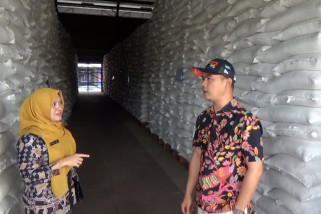 Beras SPHP Langka, DKPP Ngawi Harapkan Intervensi Bapanas