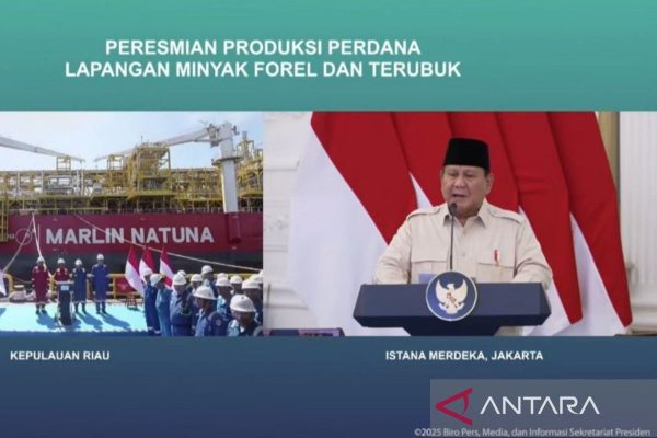 Prabowo: Dua Lapangan Minyak di Natuna Jadi Langkah Capai Swasembada Energi