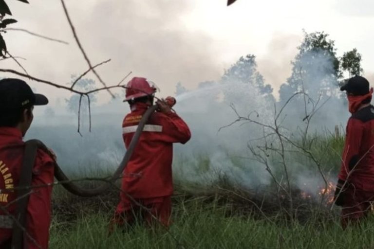 Alarm Karhutla di Kalsel: 40 Titik Api Hanguskan 58 Hektar Lahan