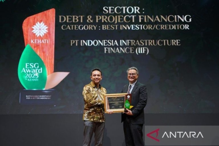 IIF Dorong Pembiayaan Hijau, 22 Persen Portofolio ke Energi Terbarukan