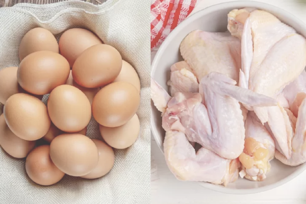 Kementan Pastikan Surplus Produksi Daging Ayam Tetap Tersedia